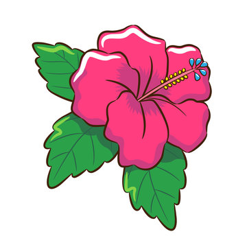 hibiscus clipart