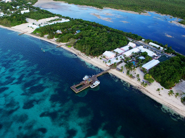 little cayman beach resort cayman islands