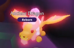 ancient dragon adopt me