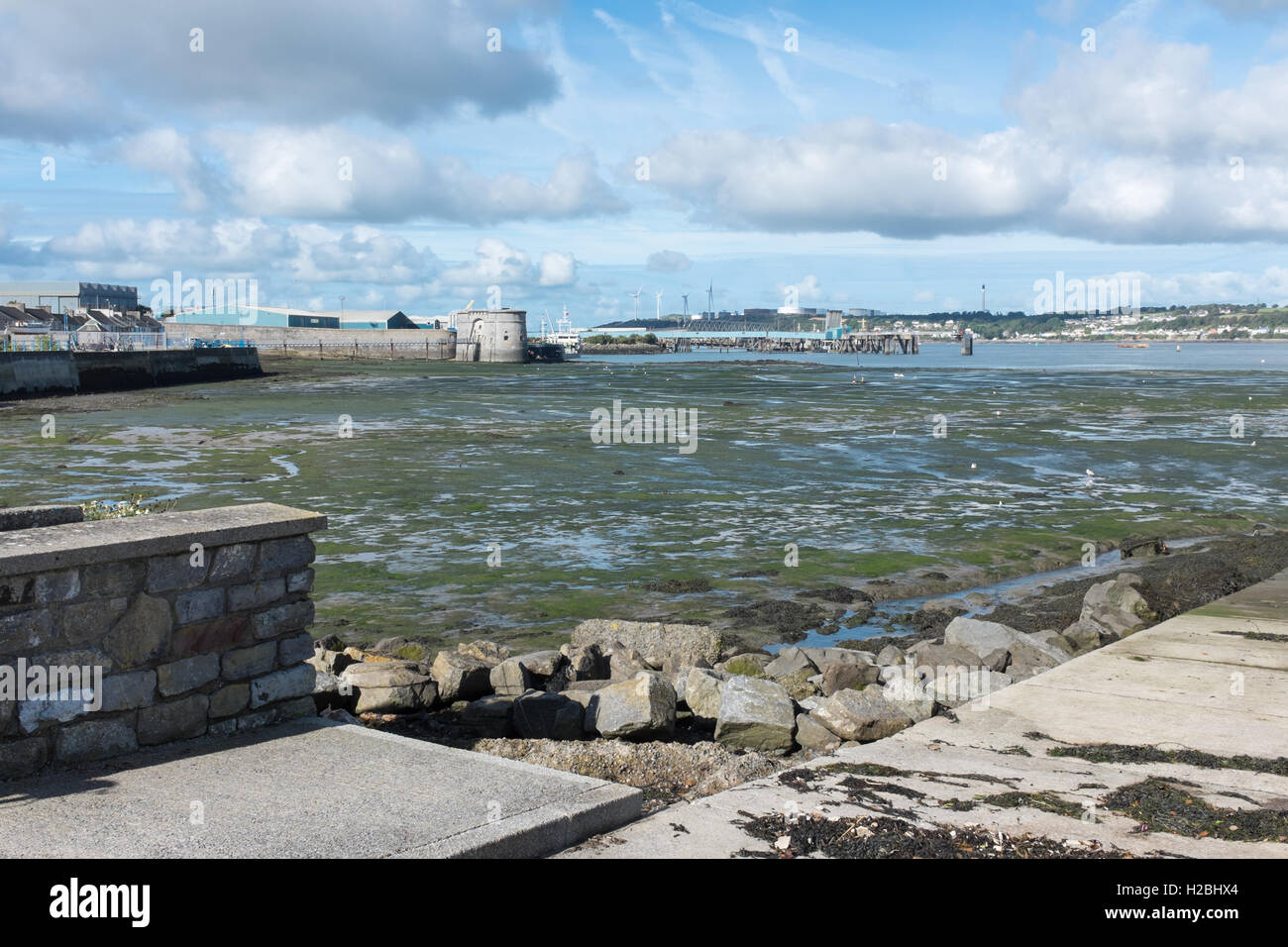 milford haven tide