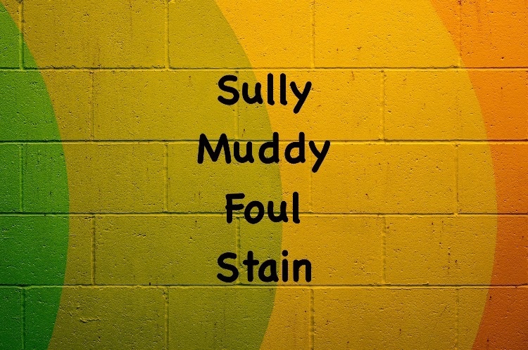 sully synonym