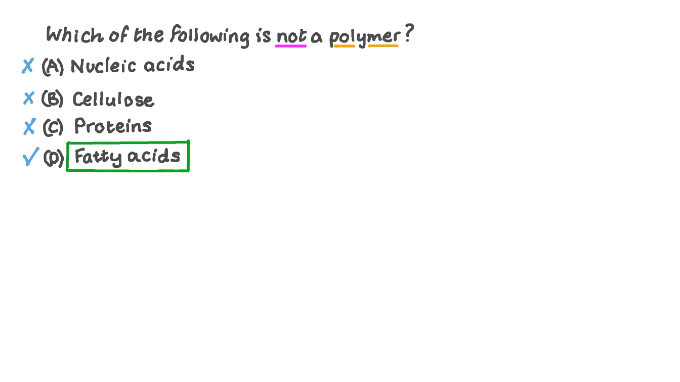 which of the following is not a polymer