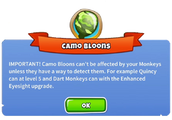 what kills camo bloons in btd6