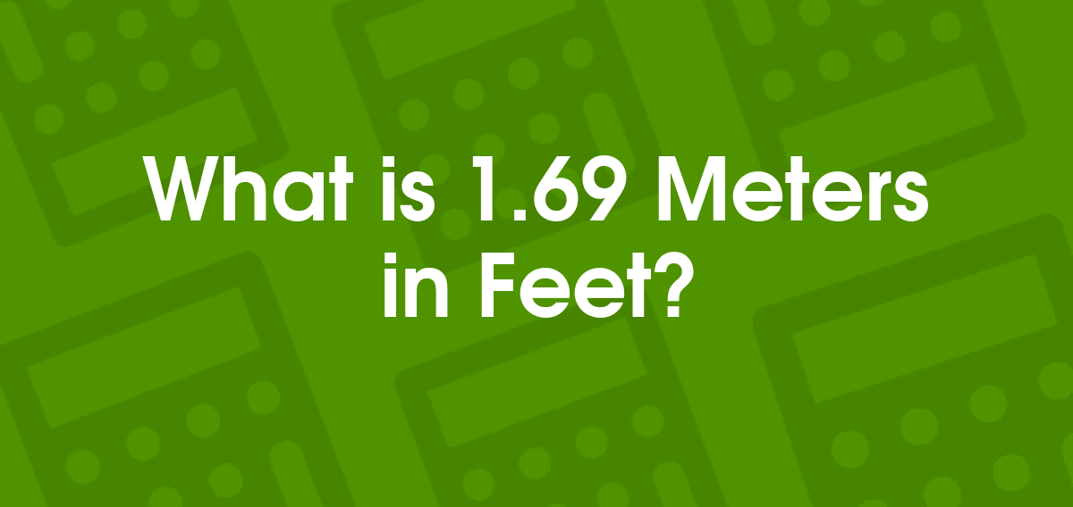 1.69 m to feet and inches