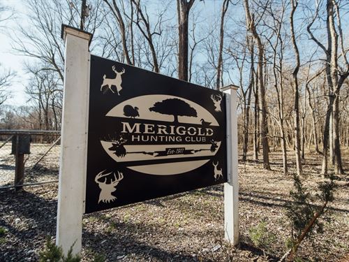 merigold hunting club