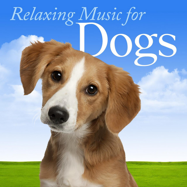 dog relaxing music