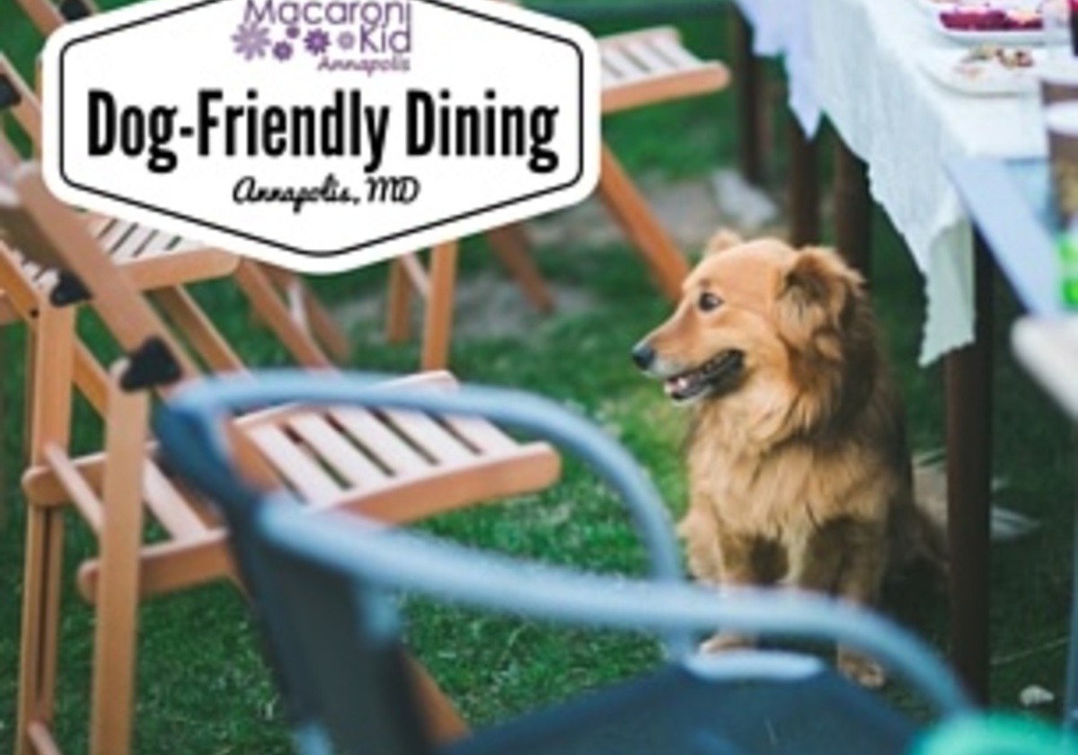 dog friendly restaurants annapolis