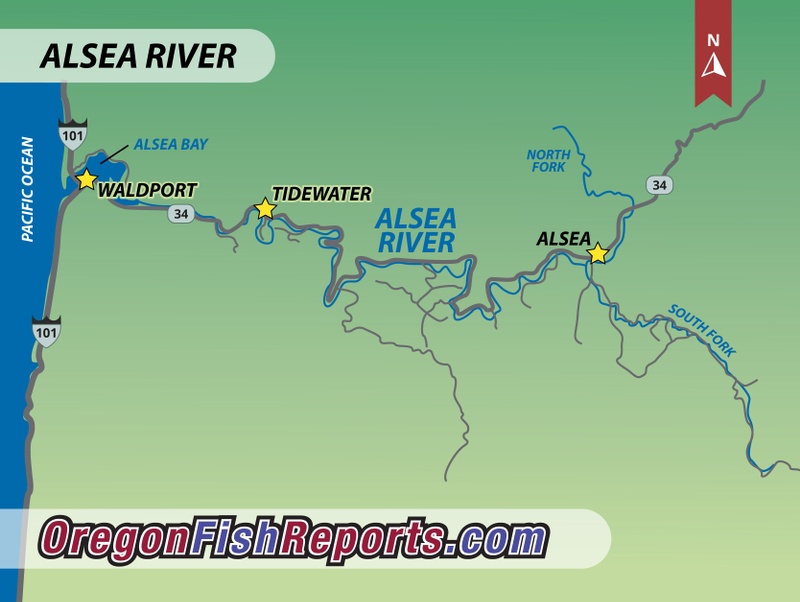 alsea river fishing report