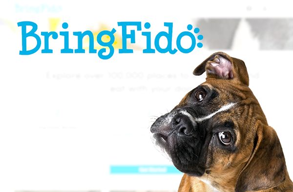 bring fido