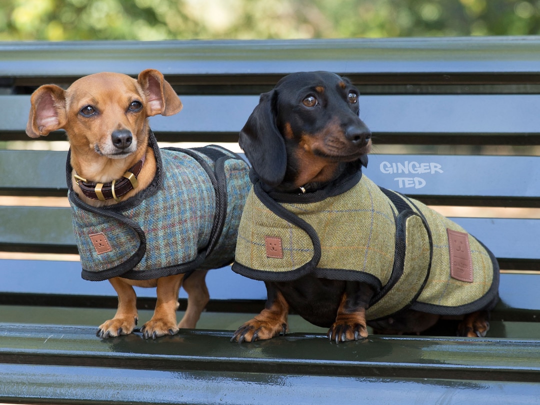 wiener dog coats