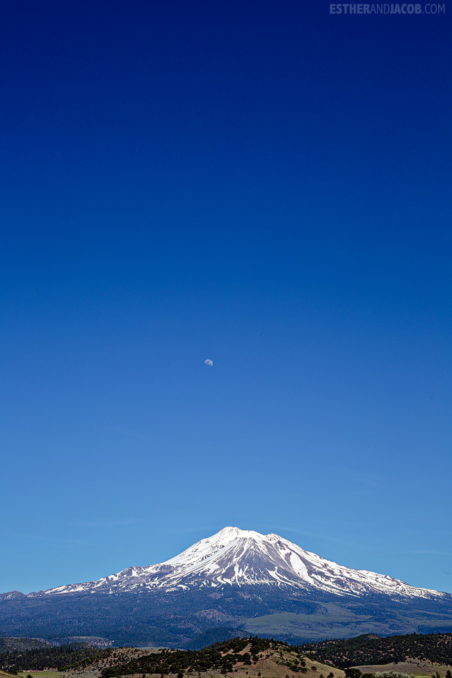 mt shasta airport