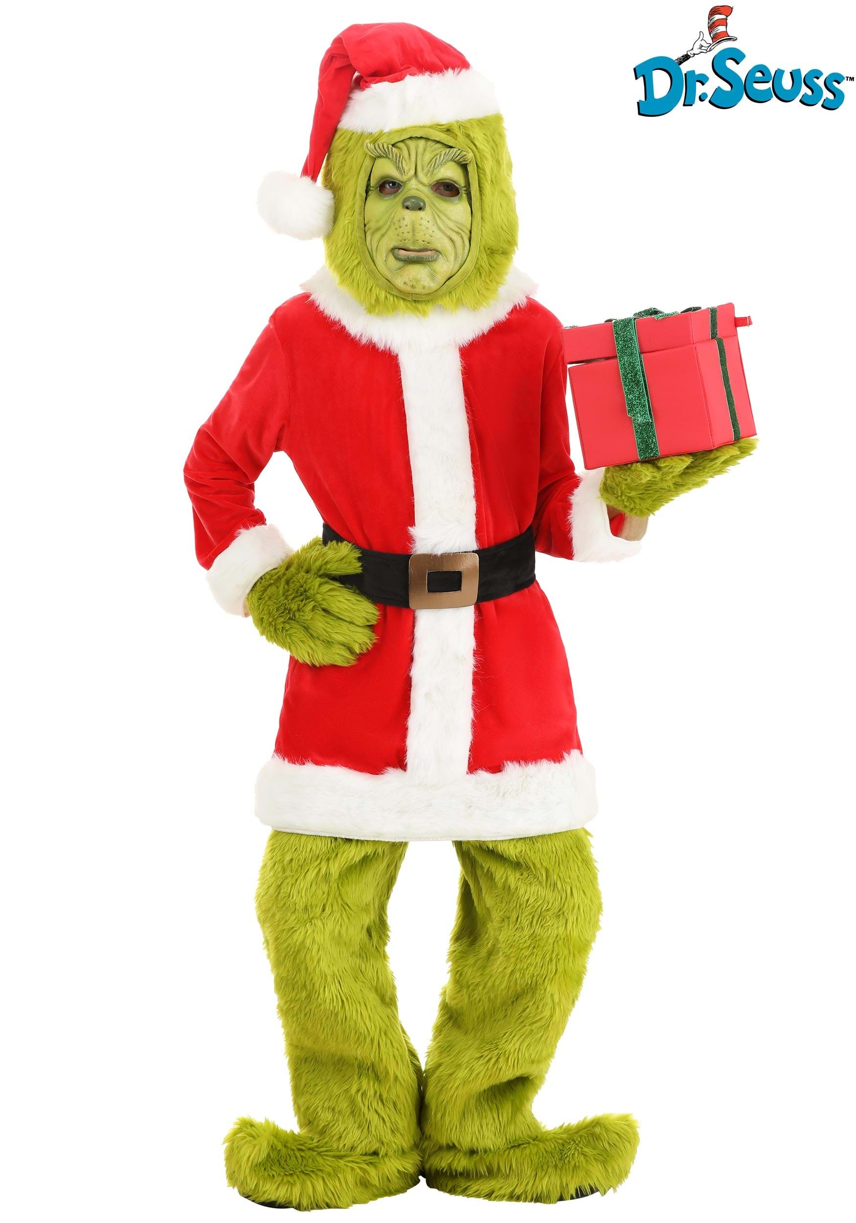 mr grinch outfit