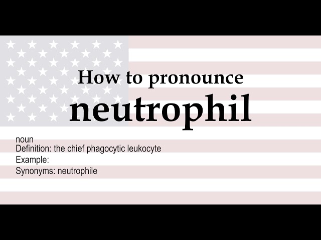 neutrophils pronunciation