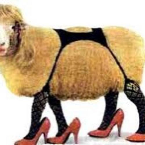 sexy sheep