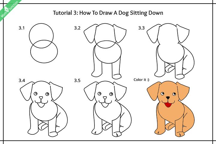 how to draw a dog for kids