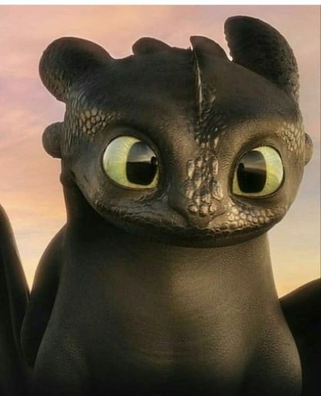 httyd toothless