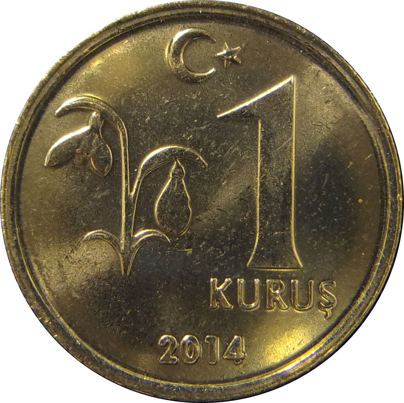 turkish kurus coin