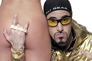 ali g indahouse cast