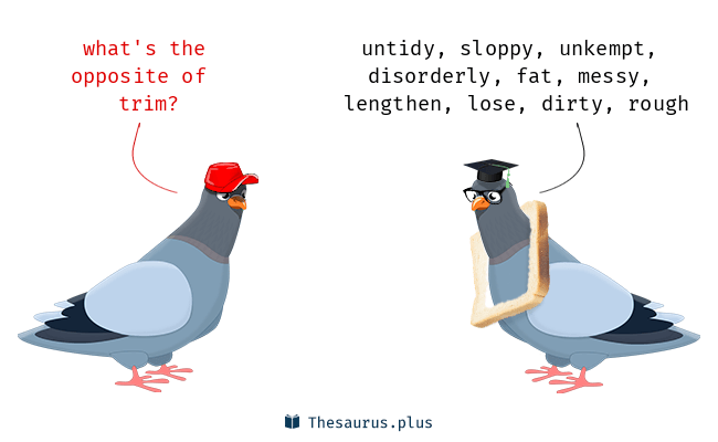 thesaurus trim