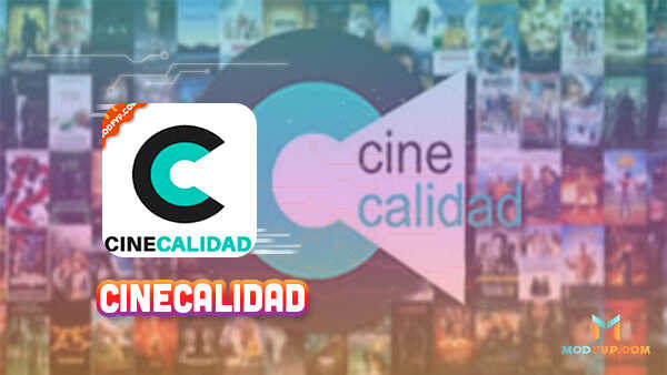 cinecalidad 2023