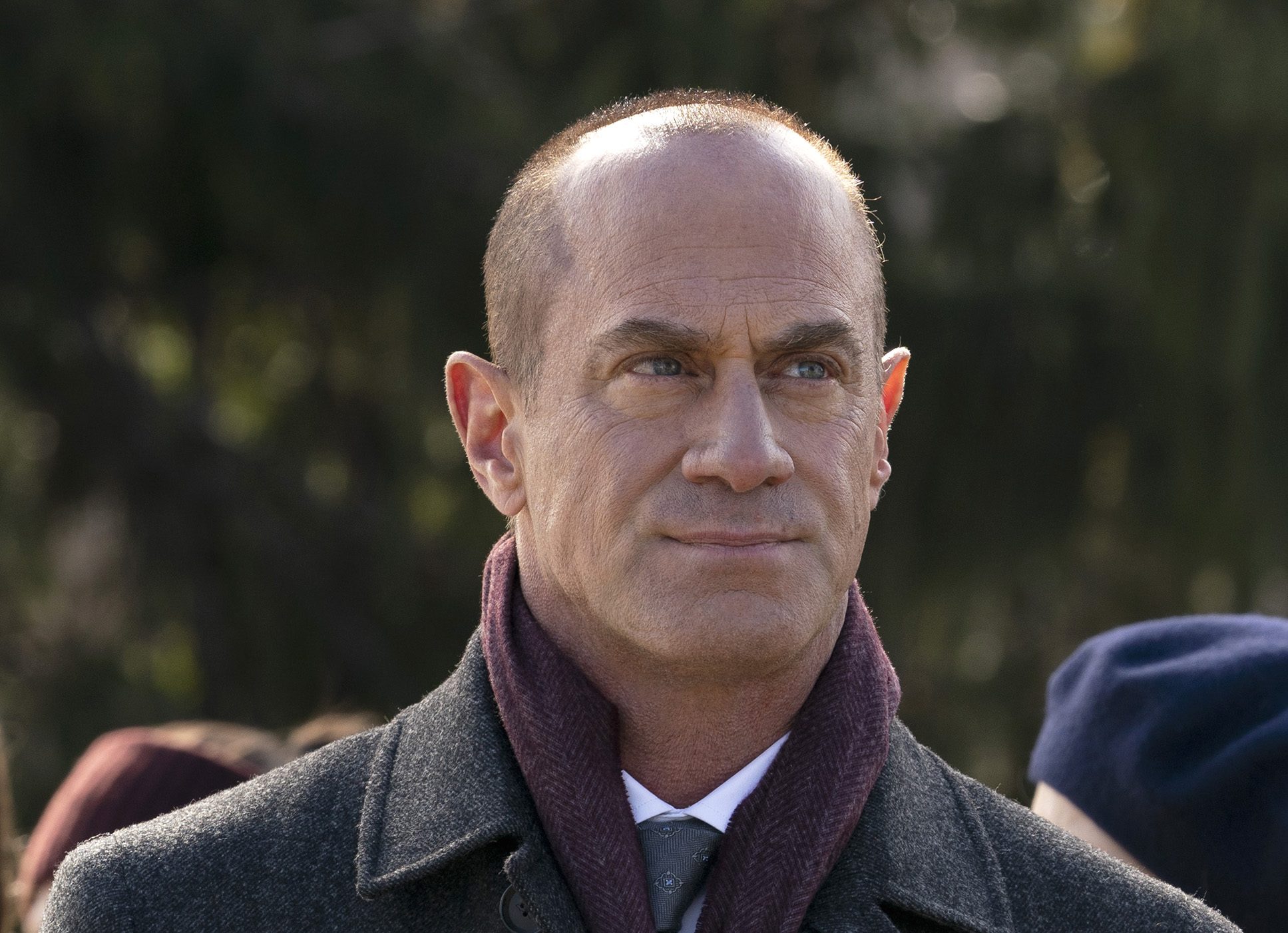 stabler law & order