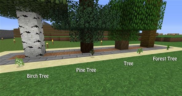 minecraft tree farm