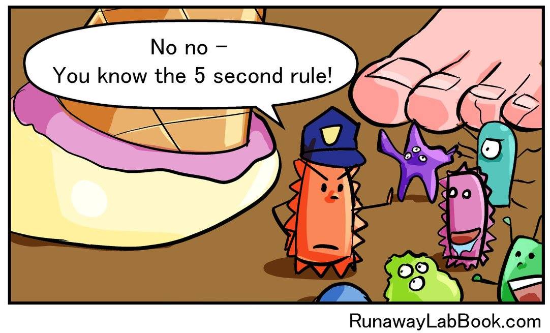 5 second rule meme