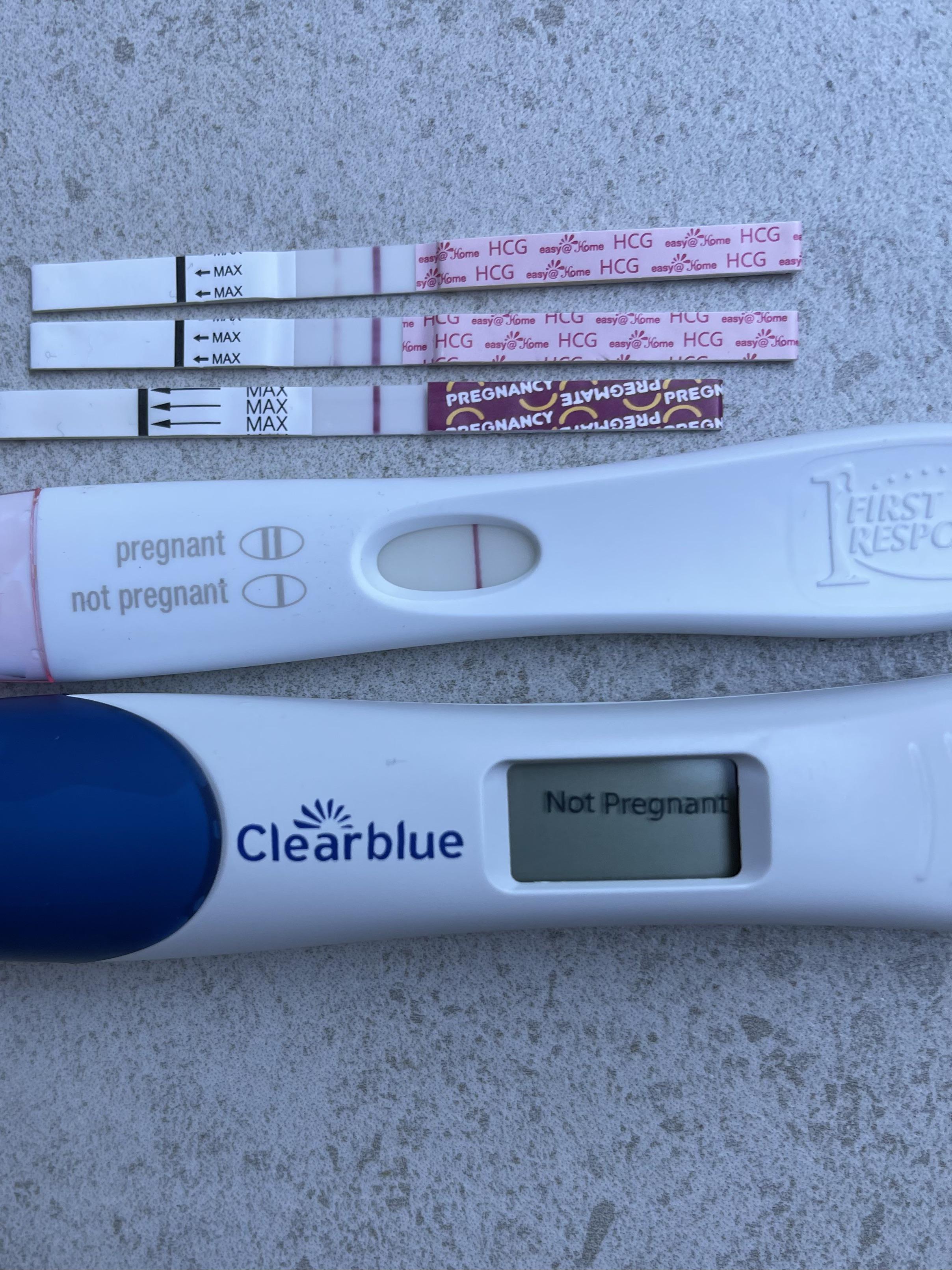 11 dpo