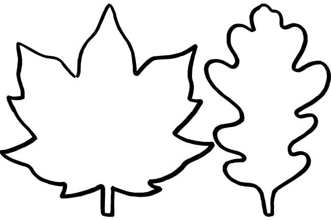 printable leaves