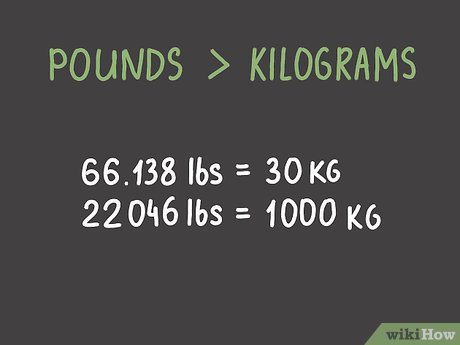 pound v kg