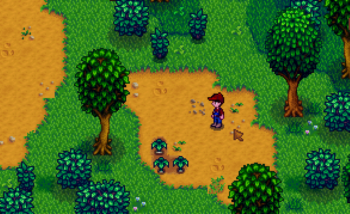 foraging stardew