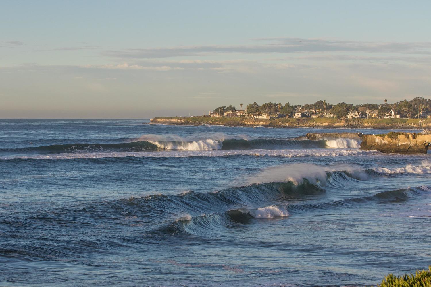 the spot surf report