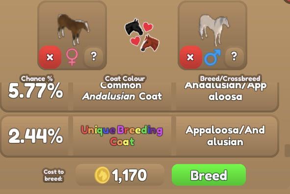 unique breeding wild horse islands