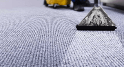 morristown carpet cleaning