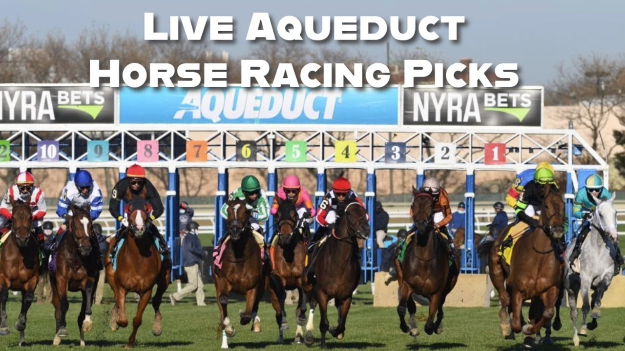 watch aqueduct racing live