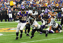 2012 minnesota vikings