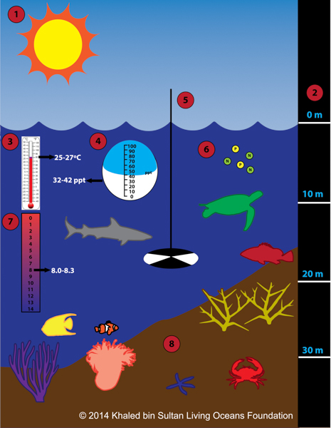 biotic factors for coral reefs