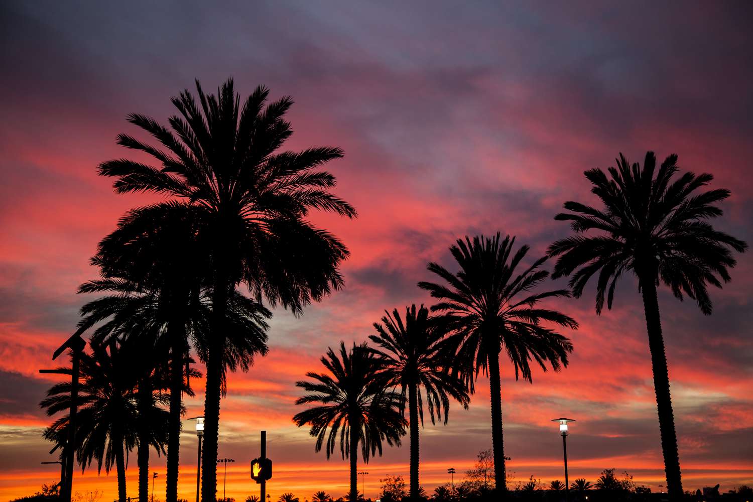 los angeles climate january