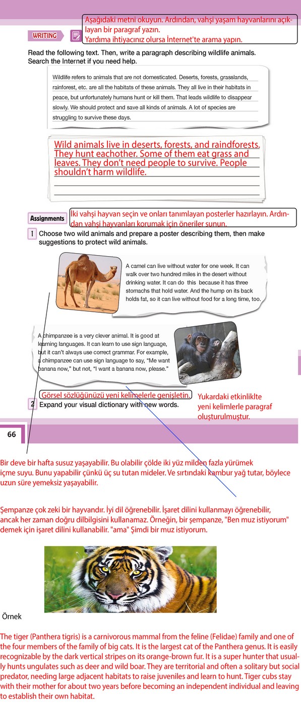 7 sınıf türkçe kitabı sayfa 66