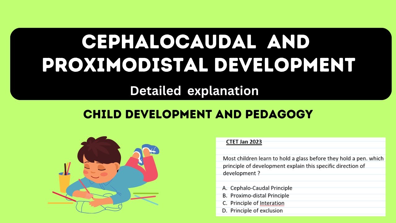 cephalocaudal and proximodistal