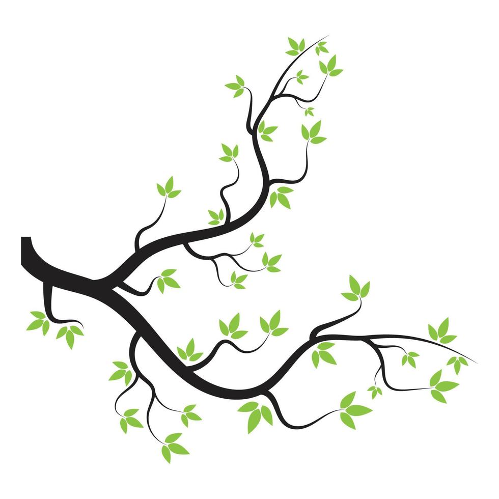 branch clipart