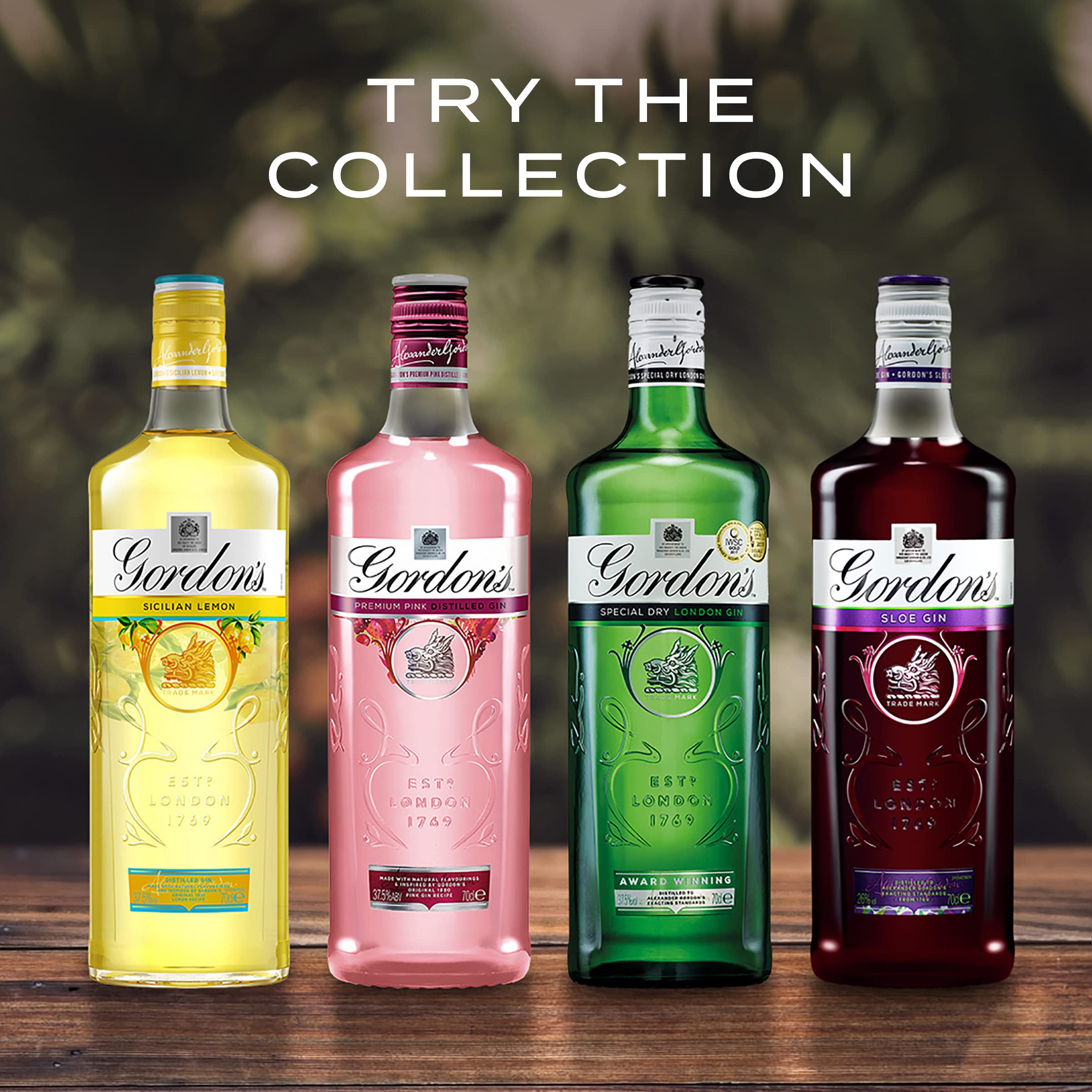 gordons sloe gin tesco