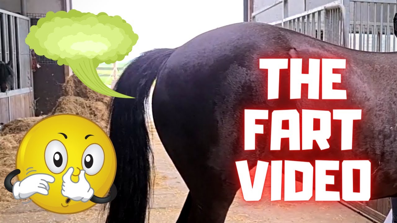 farting videos funny