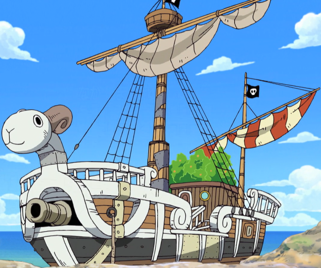 luffy ship name