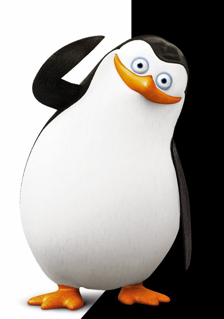 penguin madagascar private