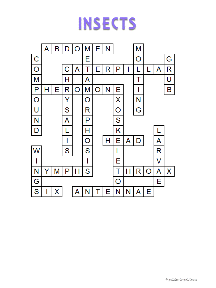 insects crossword clue