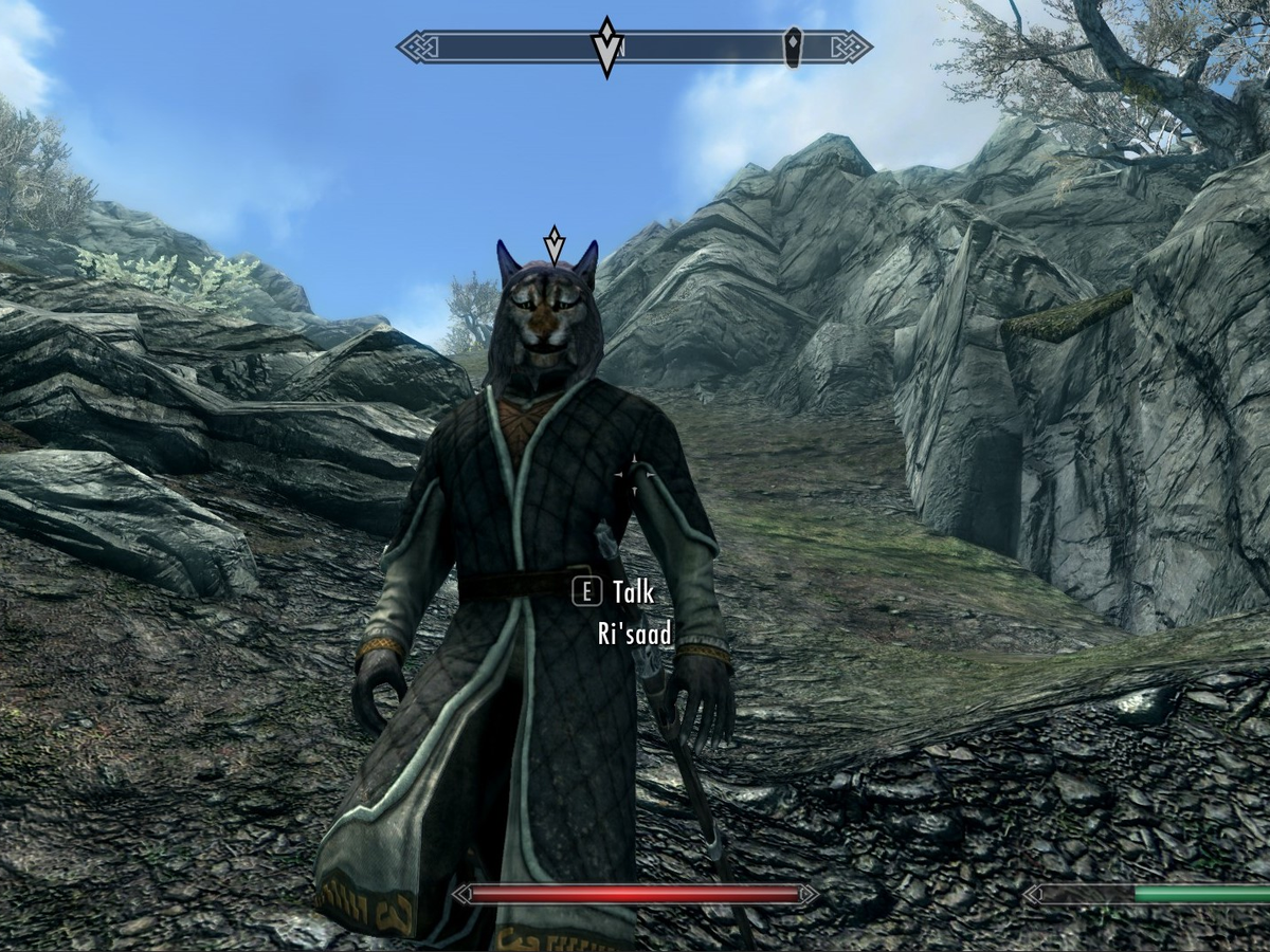 skyrim risaad