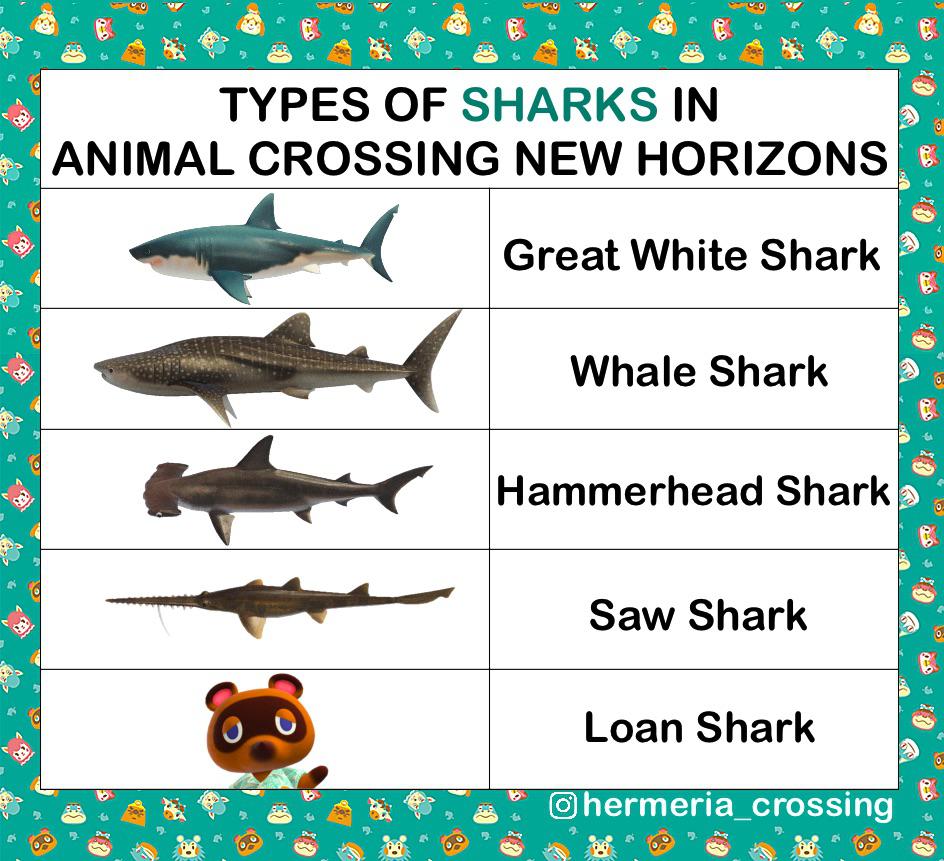 how rare are sharks in animal crossing