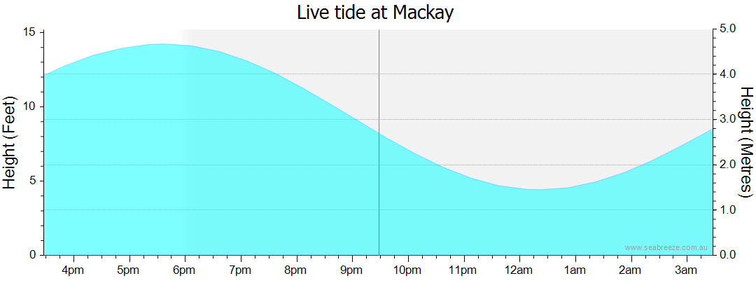 mackay tide times