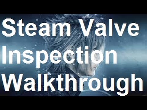 steam valve inspection map